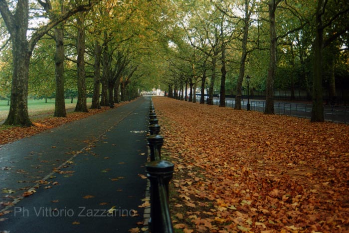 Viale a Londra