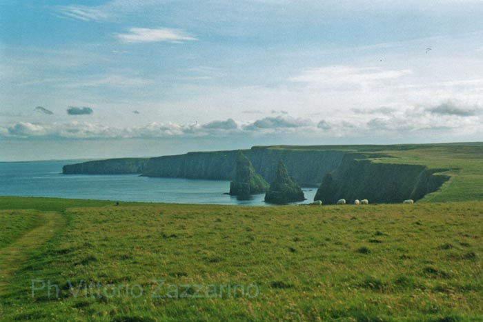 Duncansbay head