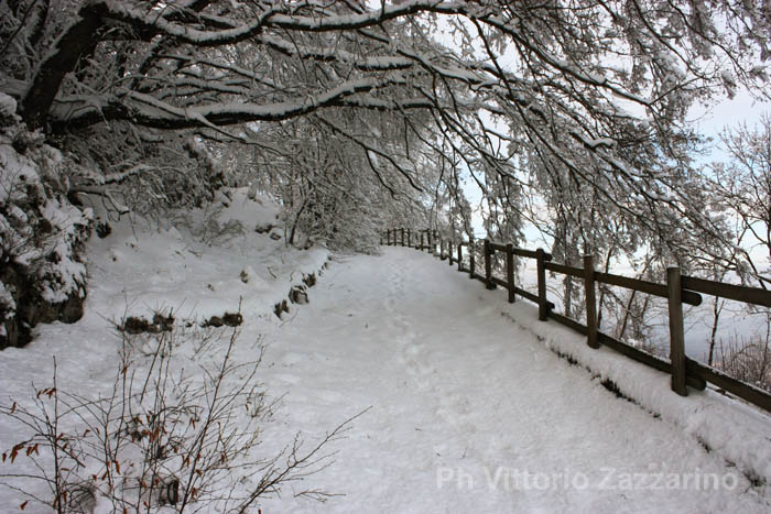 montevergine