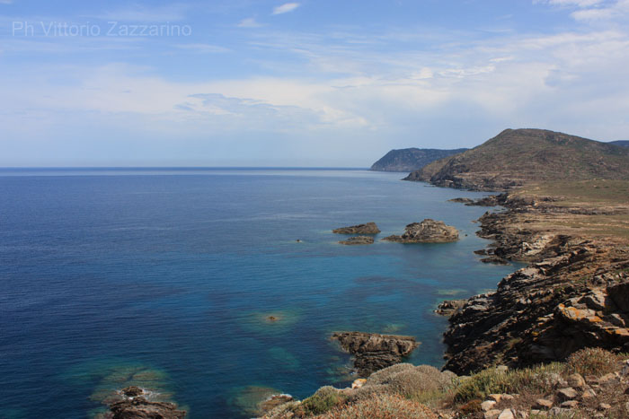 Asinara