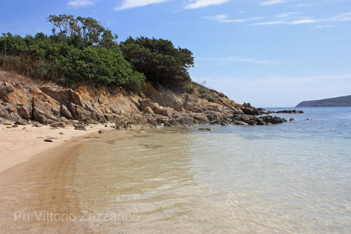 Asinara