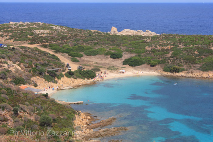 Asinara