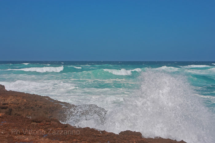 Porto Palmas