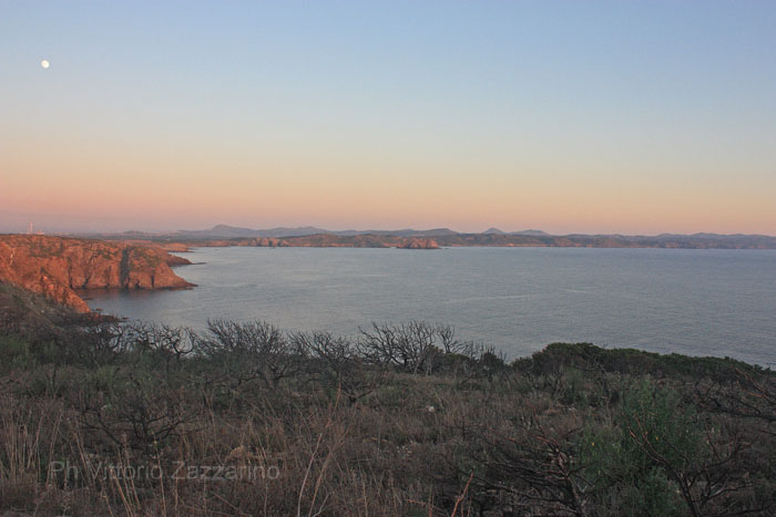 Stintino - mare di fuori