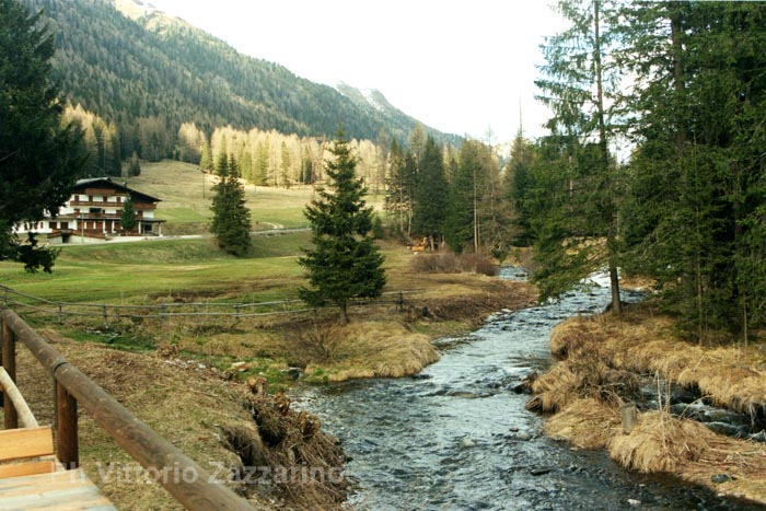 Passo San Pellegrino