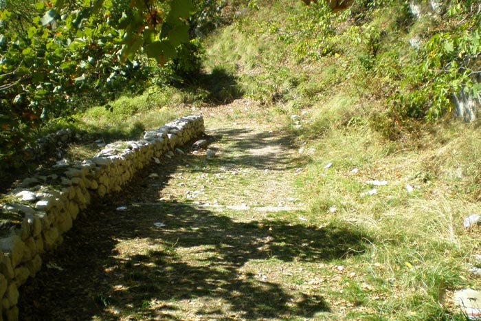  sentiero Mercogliano - Montevergine